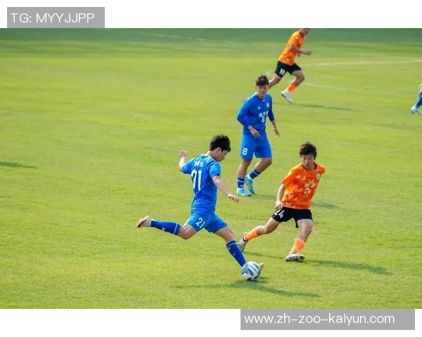 足球好图分享：精彩瞬间与动人故事的完美结合，带你领略足球的魅力与激情